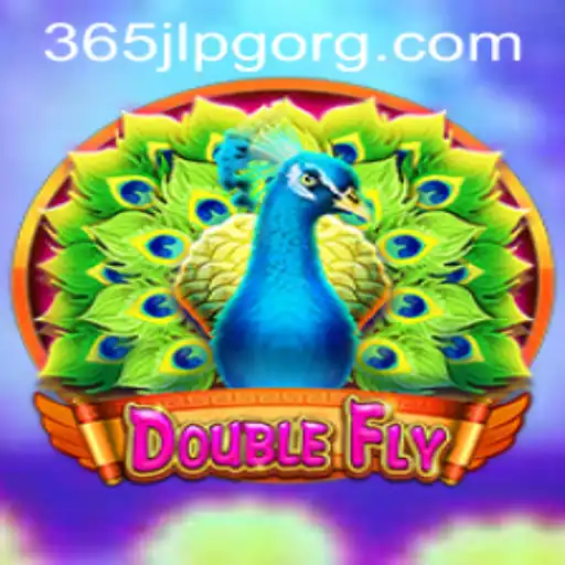 DoubleFly: The Next Big Thing in Gaming